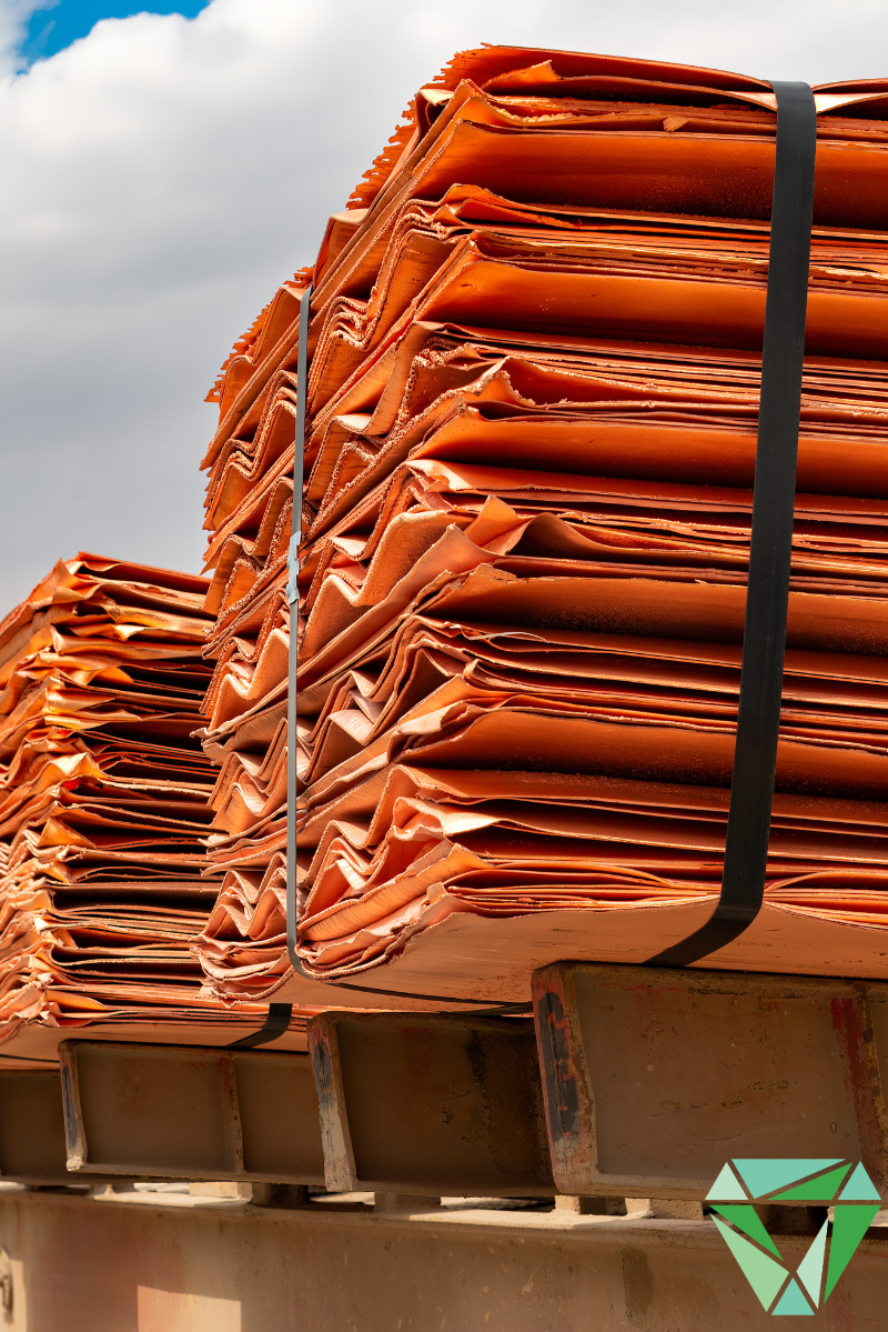 Untitled design - 2026-02-22T170316.634